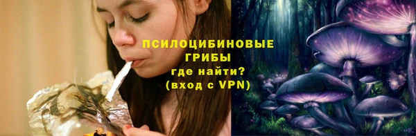 амф Богородицк