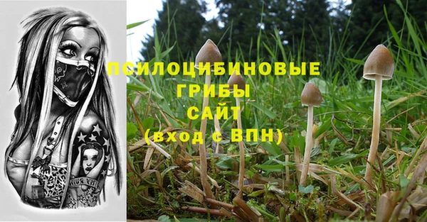 амф Богородицк