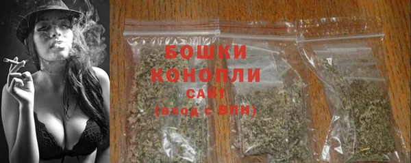 амф Богородск