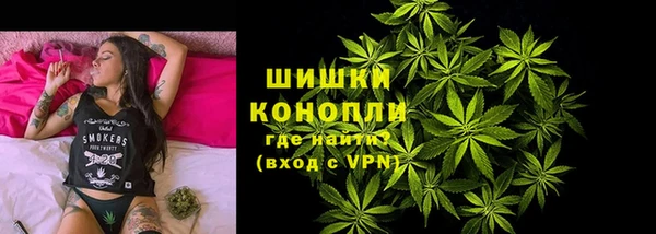 амф Богородск
