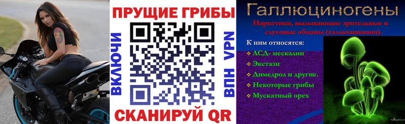 Псилоцибиновые грибы Cubensis  Коряжма 